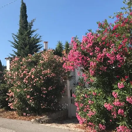 Peaceful Retreat With Stunning Sea View Private Terrace & Garden