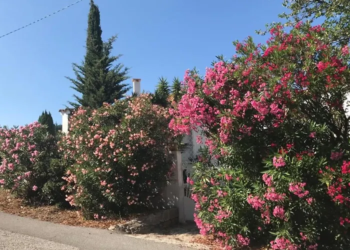 Peaceful Retreat With Stunning Sea View Private Terrace & Garden